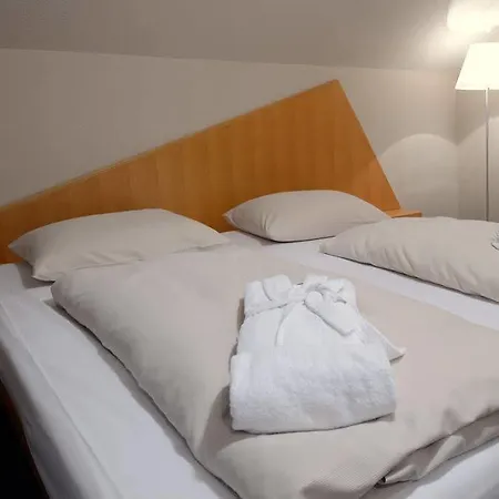 Golfhotel Fahrenbach Otel 3*