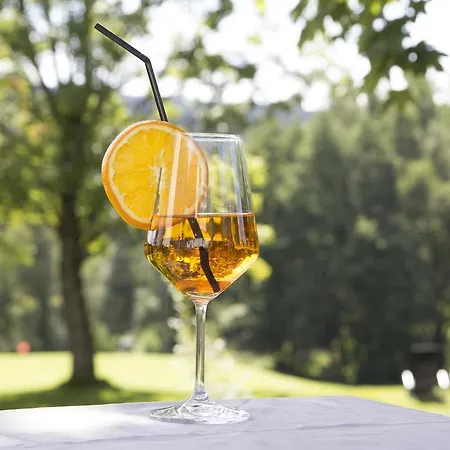 호텔 Golfhotel Fahrenbach 3*